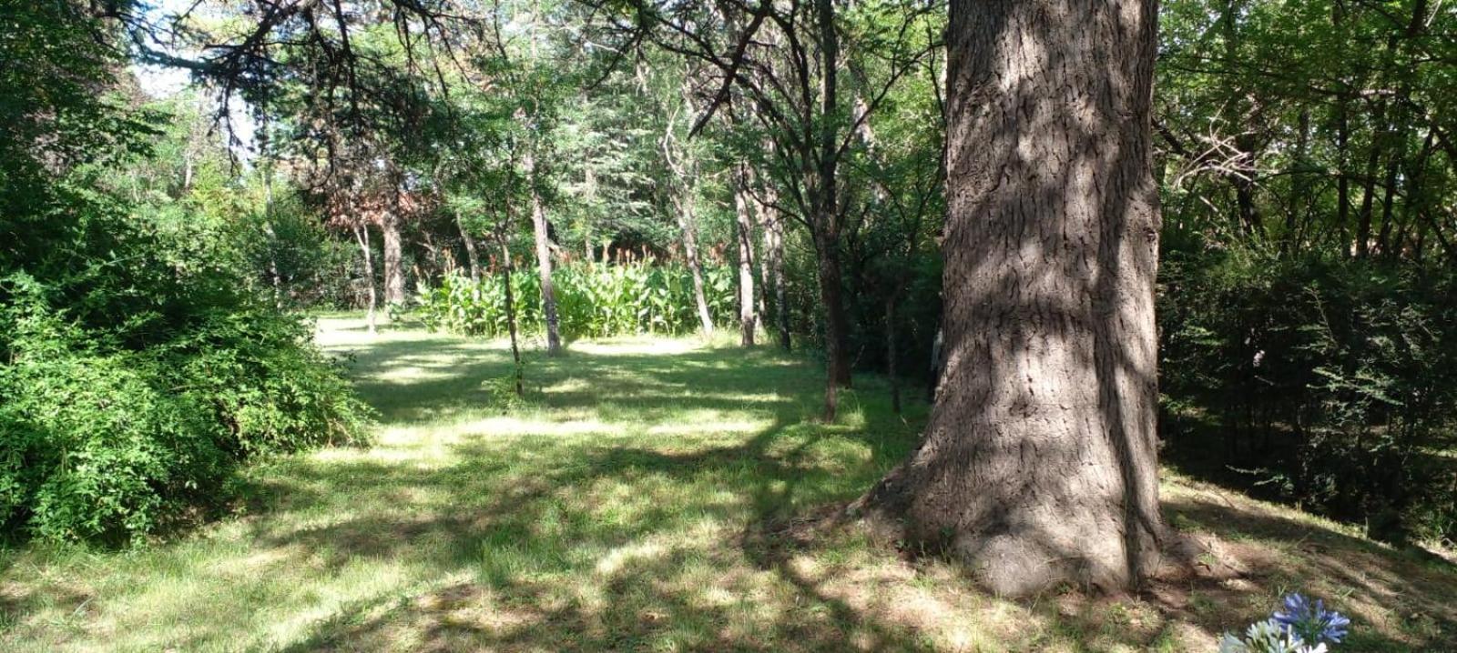 Cabana En Quinta La Aurora Мина-Клаверо Экстерьер фото